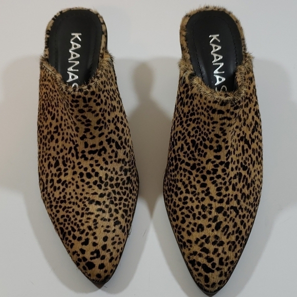 Kaanas~Size 6M~Leo-Sagrantino Pointy Heeled Shoes. - Picture 6 of 8